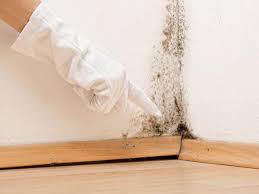 Mold Remediation for Vacation Homes in Onarga, IL